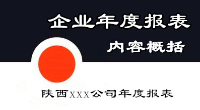 企业年度报告内容包括